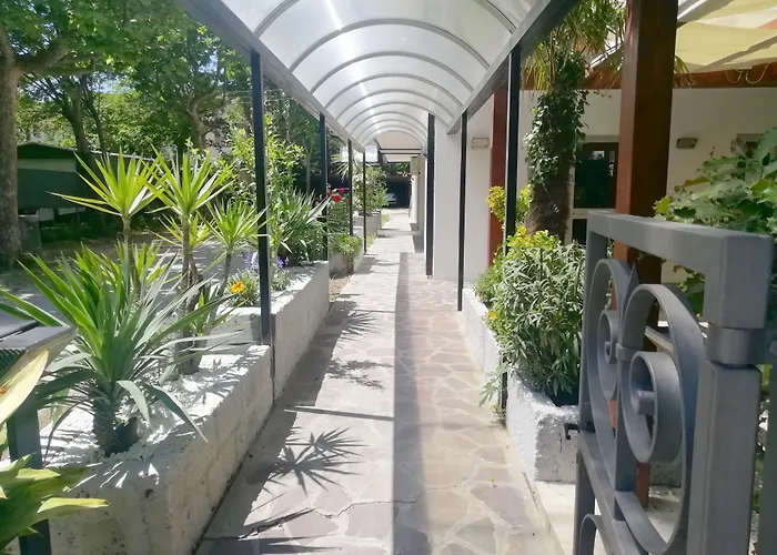 Rita تّشيرفييا